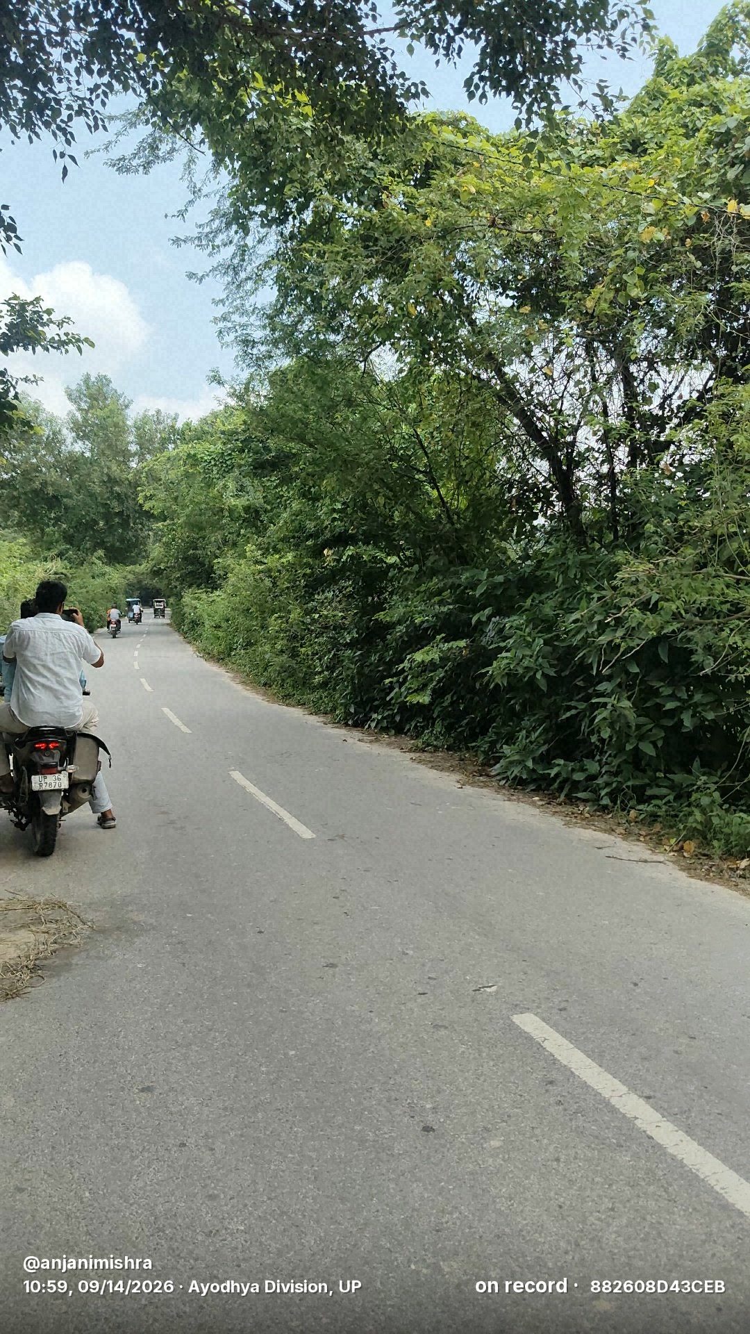 अमेठी-संग्रामपुर मार्ग पर झाड़ियों का अंबार, हादसो