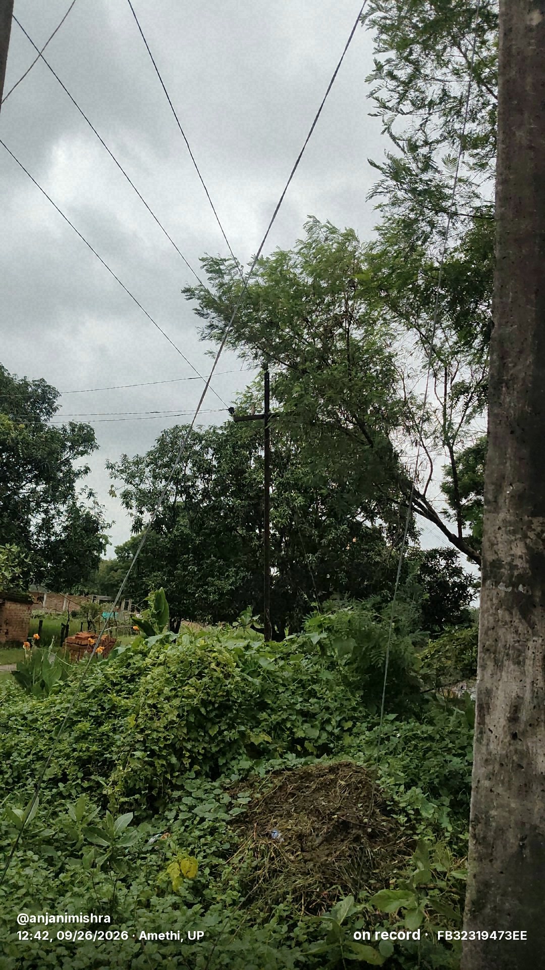 बारिश-तेज हवा से गिरे पेड़, बिजली गुल

अमेठी। पिछल